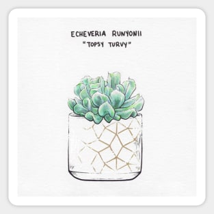 Topsy Turvy Succulent Sticker